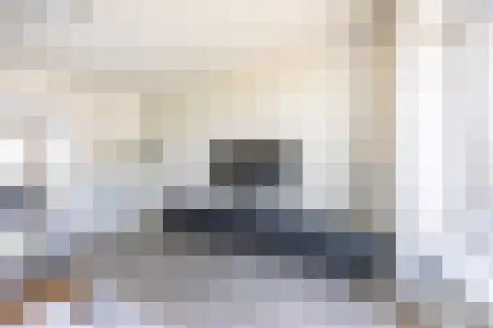 Nieuwersluisstraat 28 Den Haag thumbnail 7