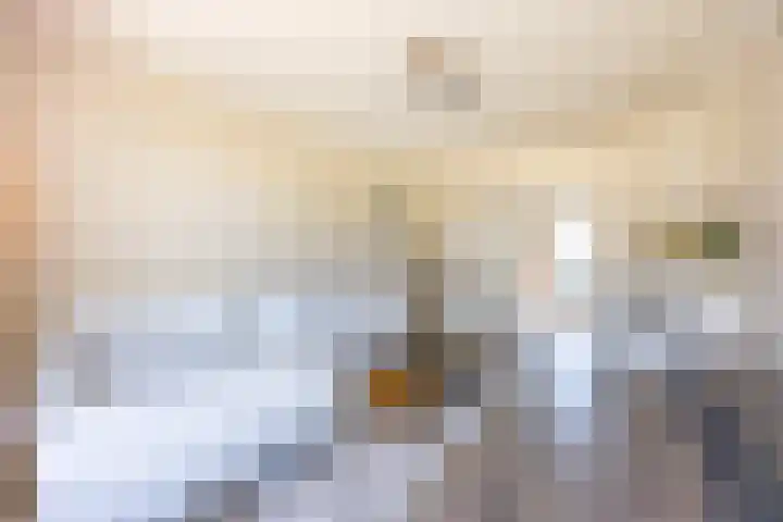 Nieuwersluisstraat 28 Den Haag thumbnail 8
