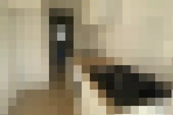 Nieuwersluisstraat 41 Den Haag thumbnail 18