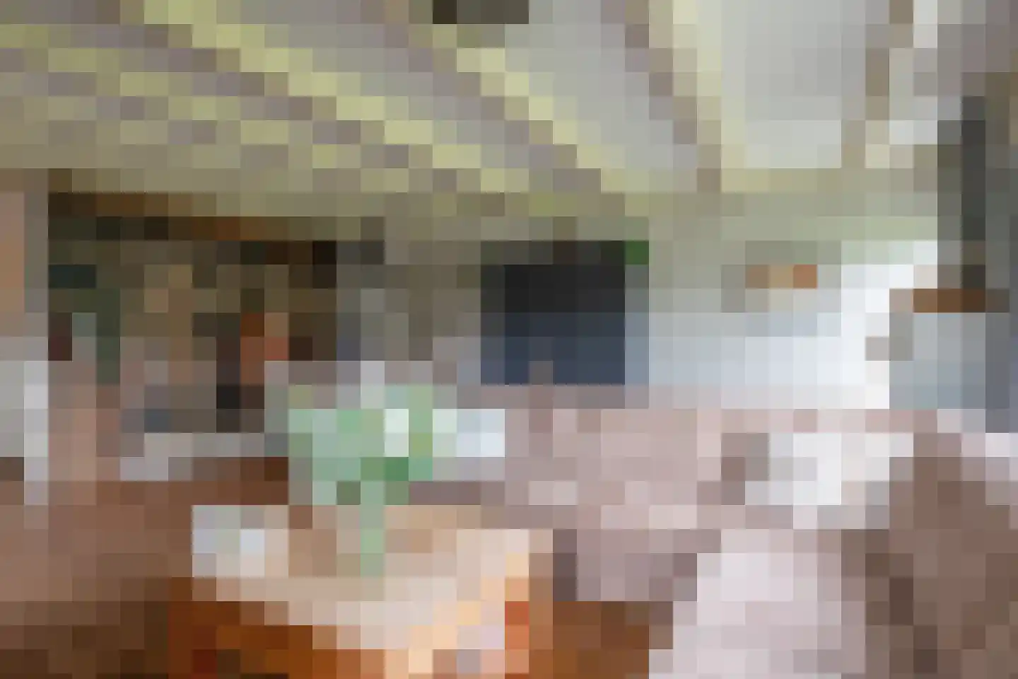 Nieuweschild 11 Oosterend thumbnail 10