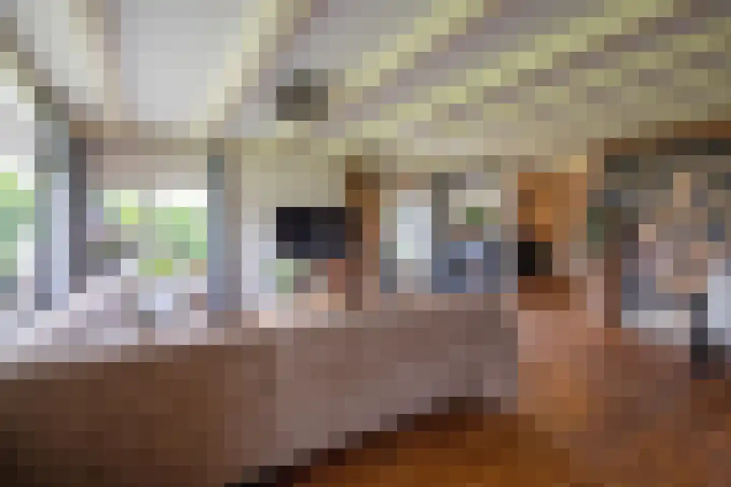 Nieuweschild 11 Oosterend thumbnail 12