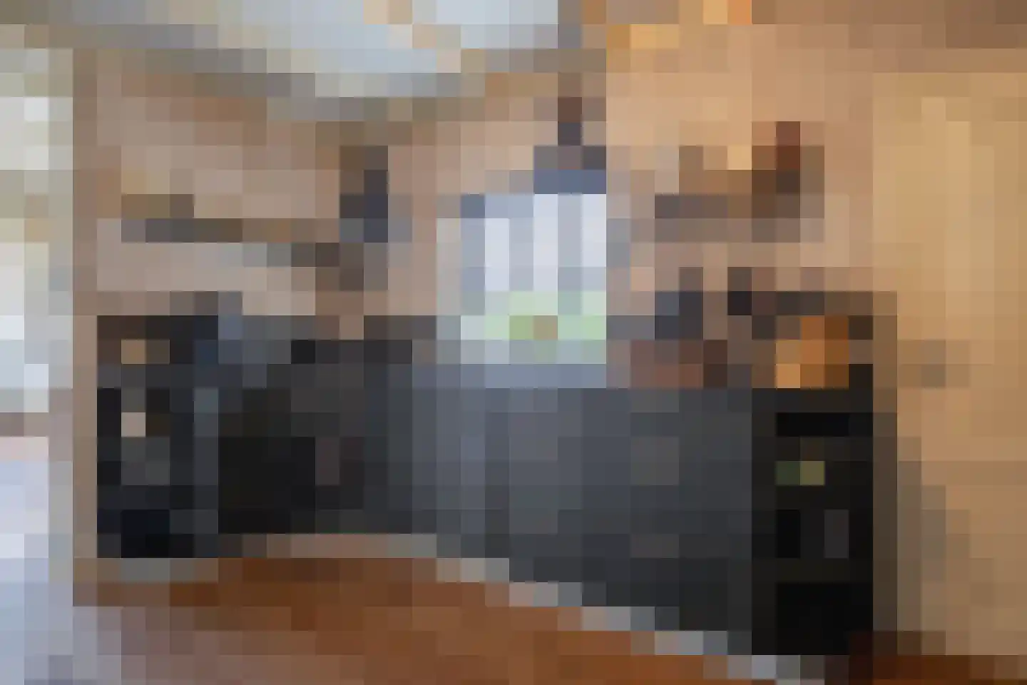 Nieuweschild 11 Oosterend thumbnail 15