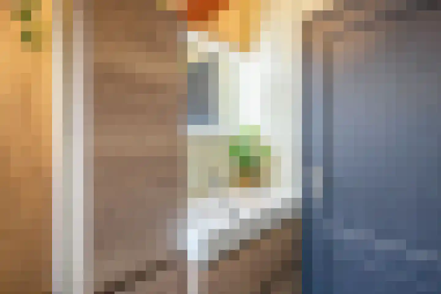 Nieuweschild 11 Oosterend thumbnail 17