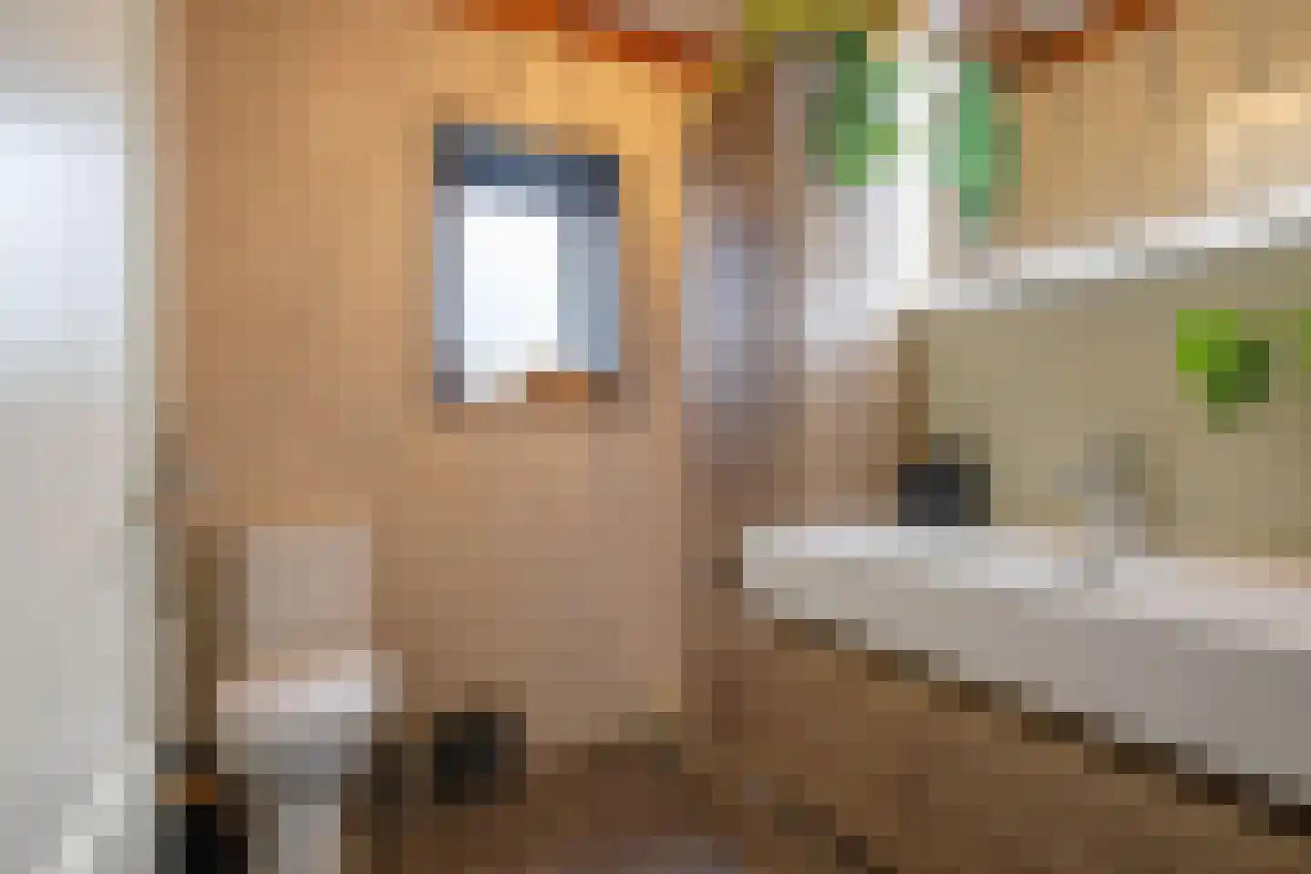Nieuweschild 11 Oosterend thumbnail 18