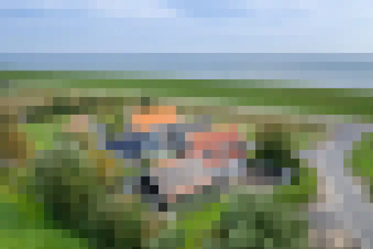 Nieuweschild 11 Oosterend foto 2