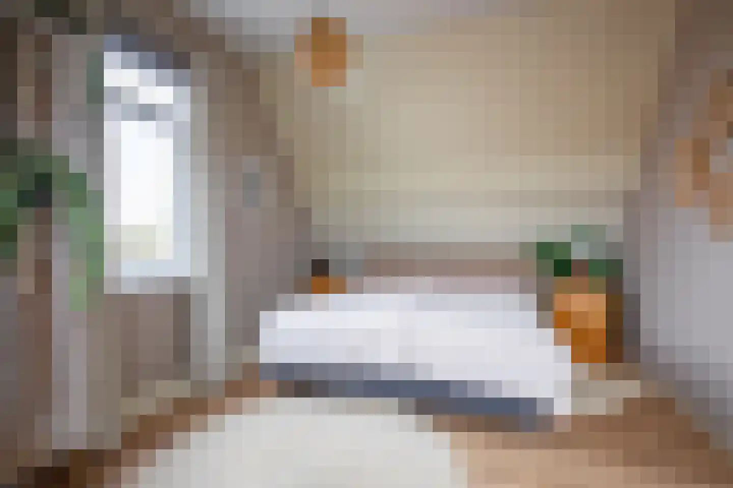 Nieuweschild 11 Oosterend thumbnail 21