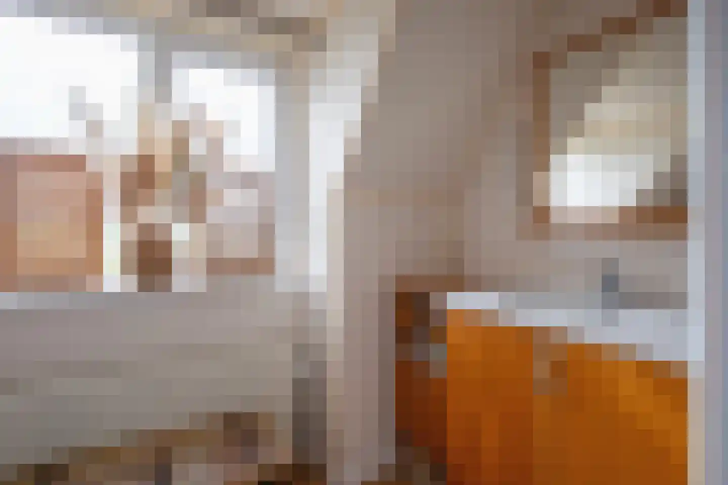 Nieuweschild 11 Oosterend thumbnail 27