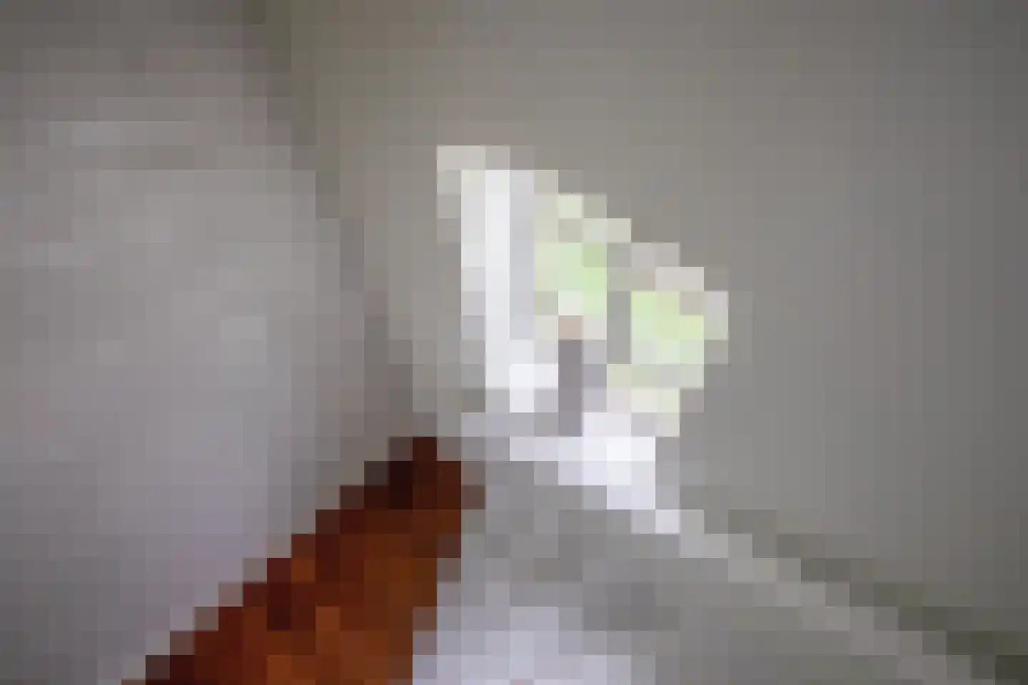 Nieuweschild 11 Oosterend thumbnail 31