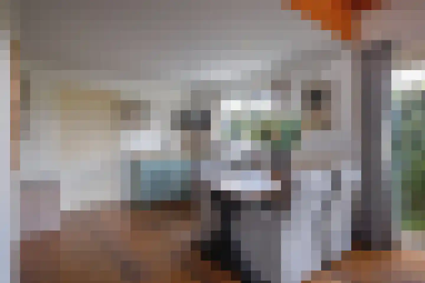 Nieuweschild 11 Oosterend thumbnail 32