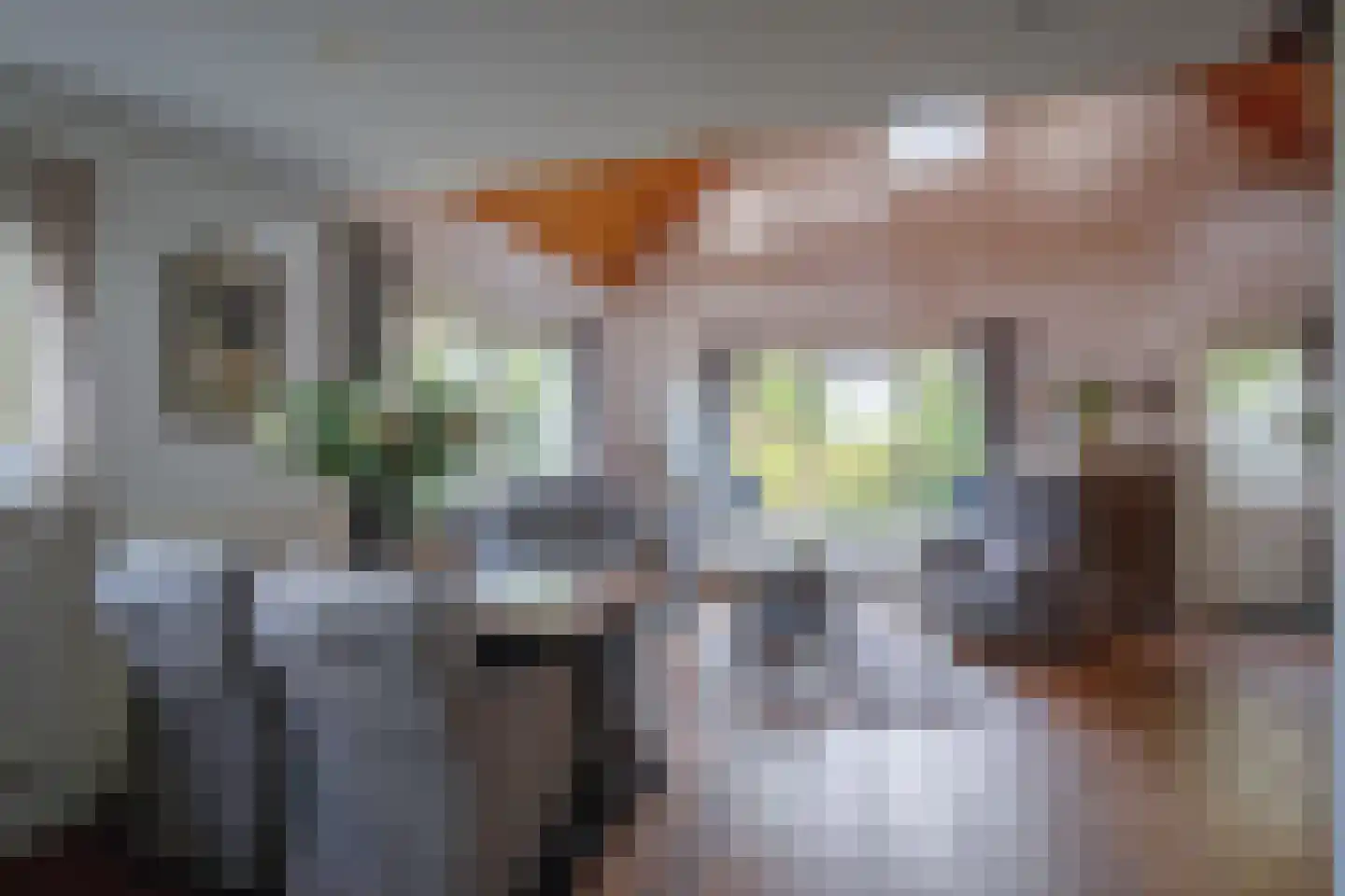 Nieuweschild 11 Oosterend thumbnail 33