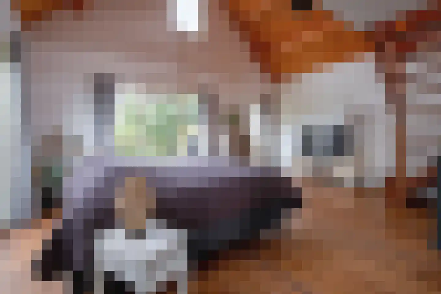 Nieuweschild 11 Oosterend thumbnail 35