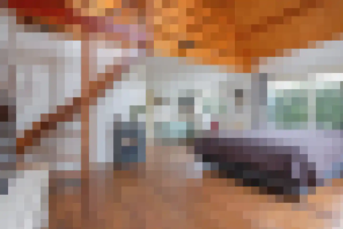 Nieuweschild 11 Oosterend thumbnail 38