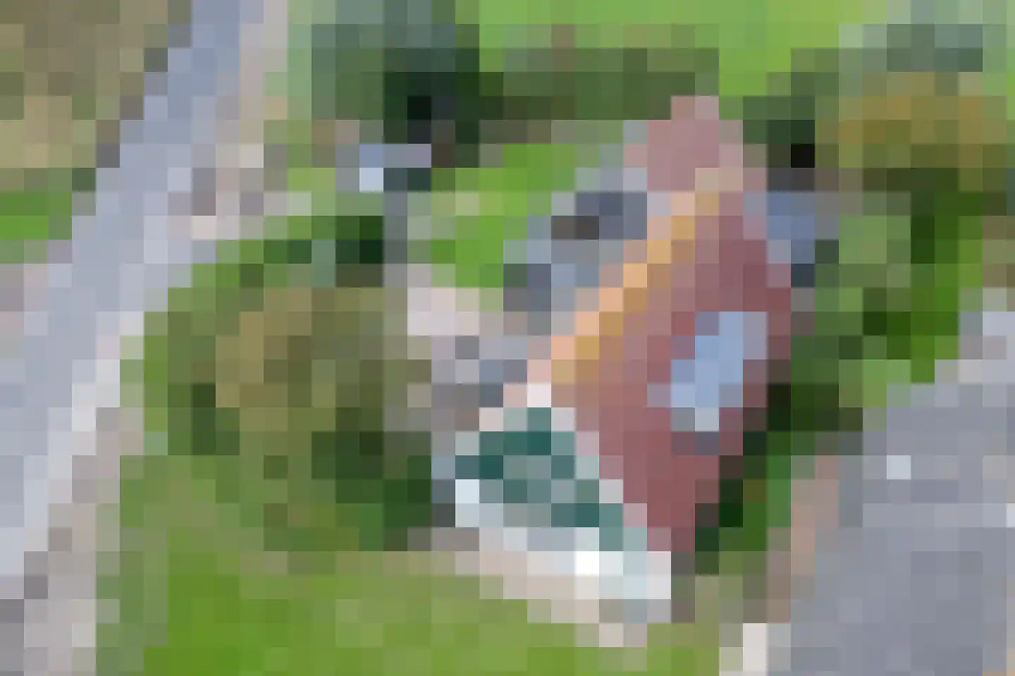 Nieuweschild 11 Oosterend thumbnail 4