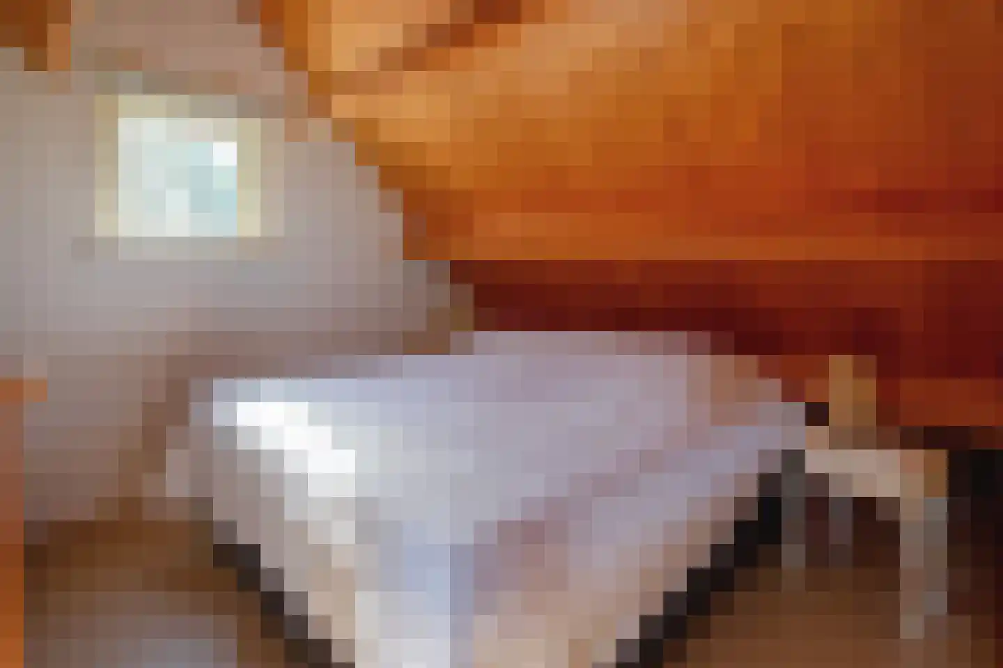 Nieuweschild 11 Oosterend thumbnail 40