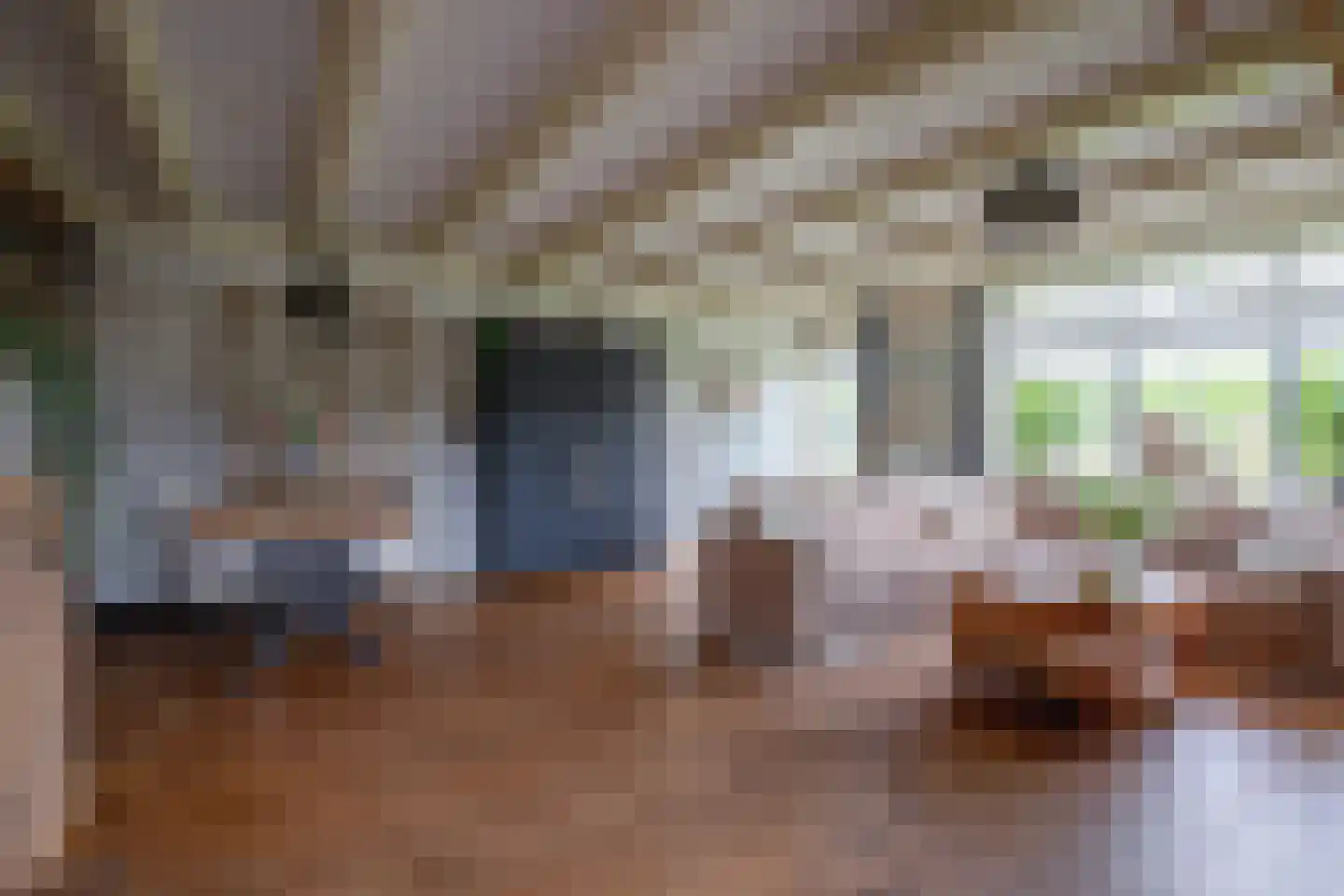Nieuweschild 11 Oosterend thumbnail 8