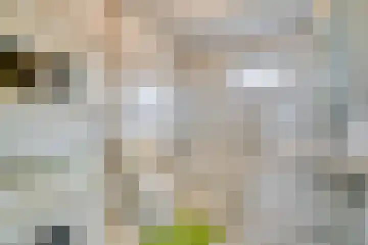 Nieuwesluisplein 3 Heenvliet thumbnail 13