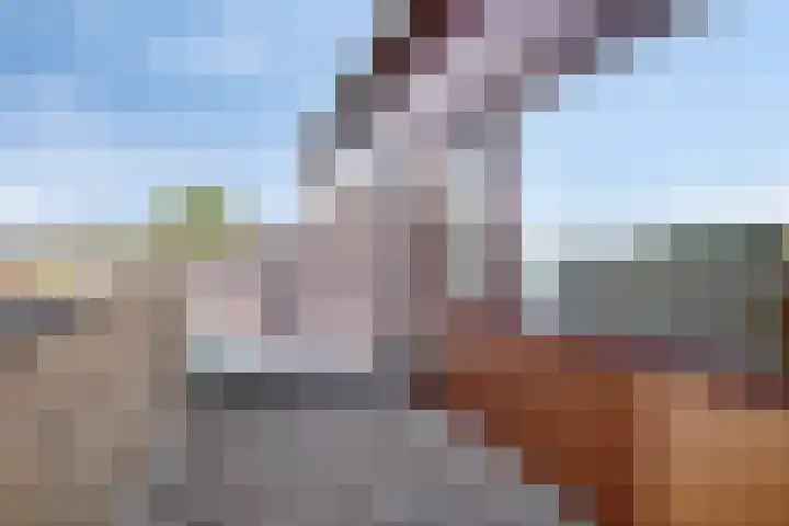 Nieuwesluisplein 3 Heenvliet thumbnail 24