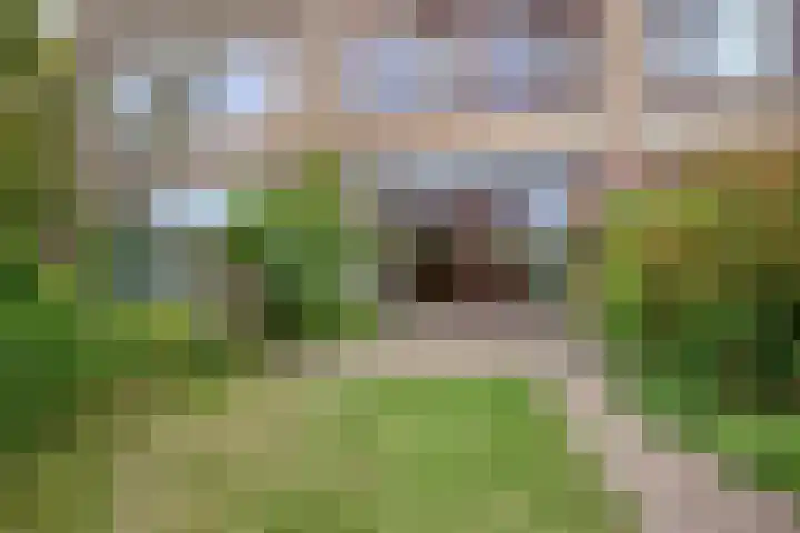 Nieuwesluisplein 3 Heenvliet thumbnail 25