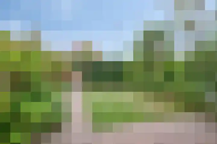 Nieuwesluisplein 3 Heenvliet thumbnail 26