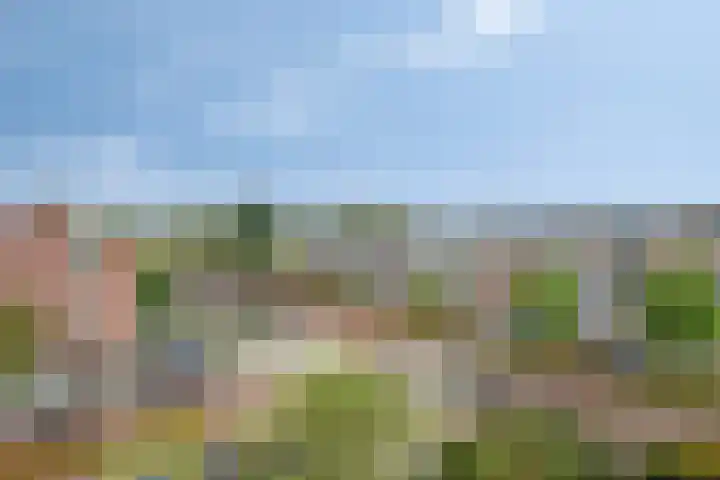 Nieuwesluisplein 3 Heenvliet thumbnail 31