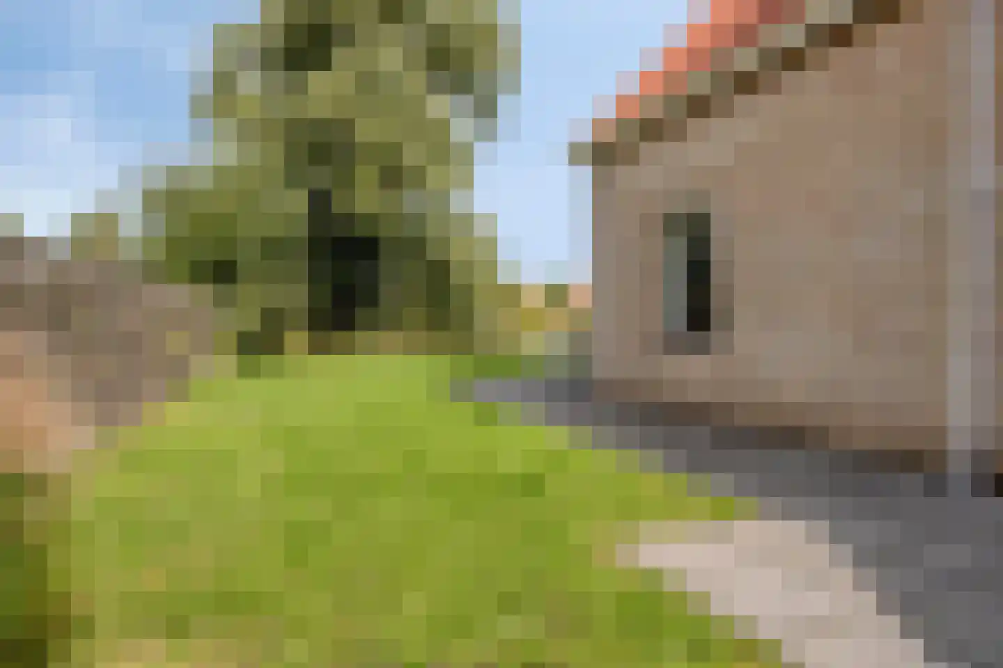 Nieuwesluisweg 1 004 Breskens thumbnail 26