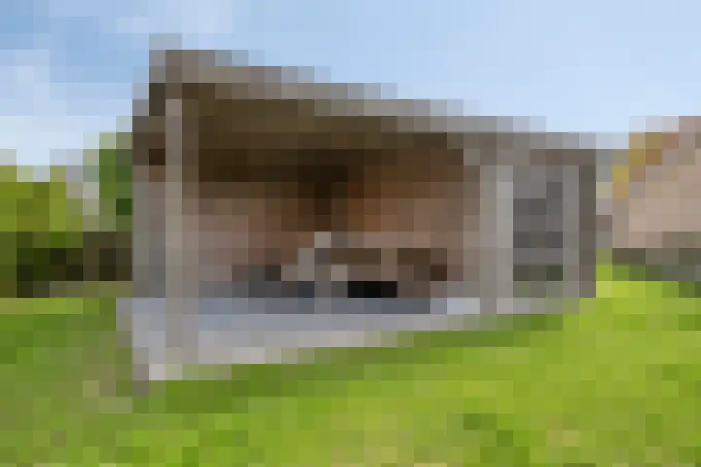 Nieuwesluisweg 1 004 Breskens thumbnail 29