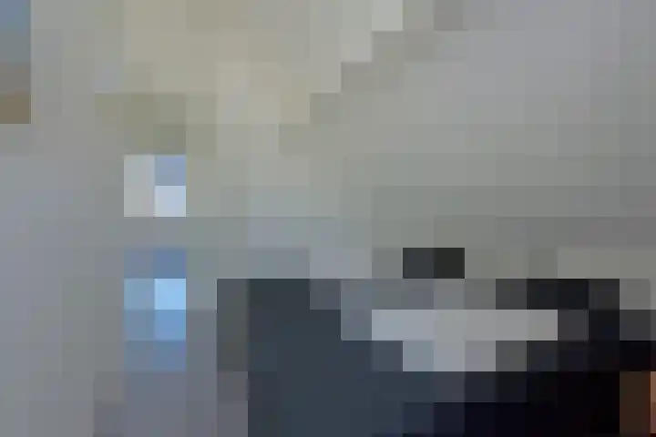 Nieuwesluisweg 1 101 Breskens thumbnail 17
