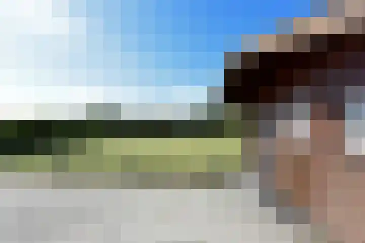 Nieuwesluisweg 1 101 Breskens thumbnail 25