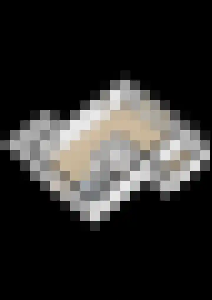 Nieuwesluisweg 1 101 Breskens thumbnail 31