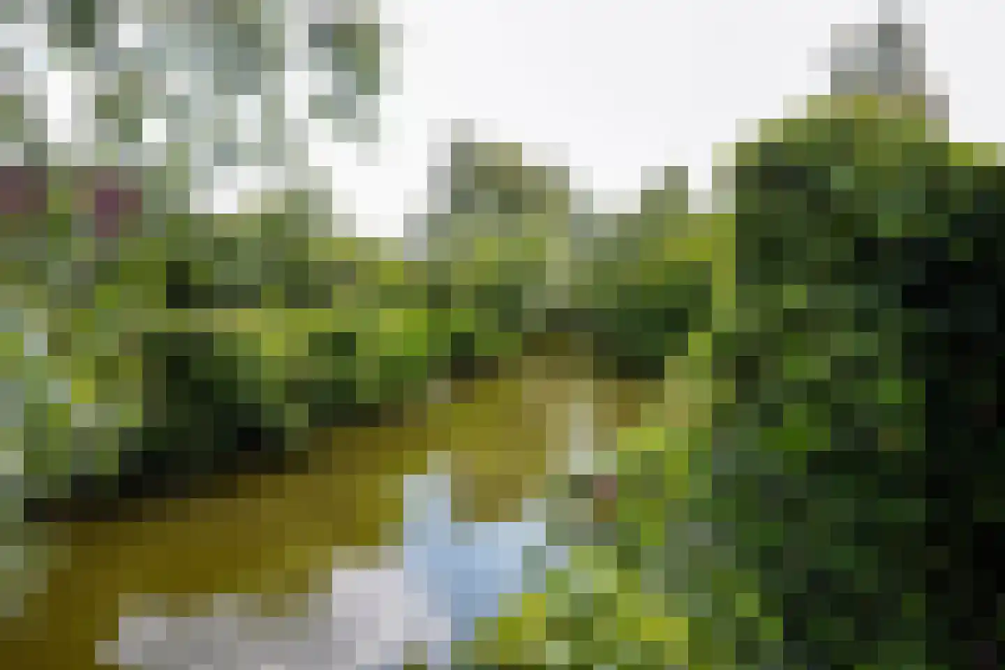 Nieuwesluisweg 1 143 Breskens thumbnail 18