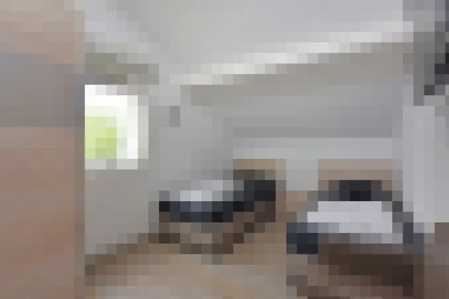 Nieuwesluisweg 1 149 Breskens thumbnail 22