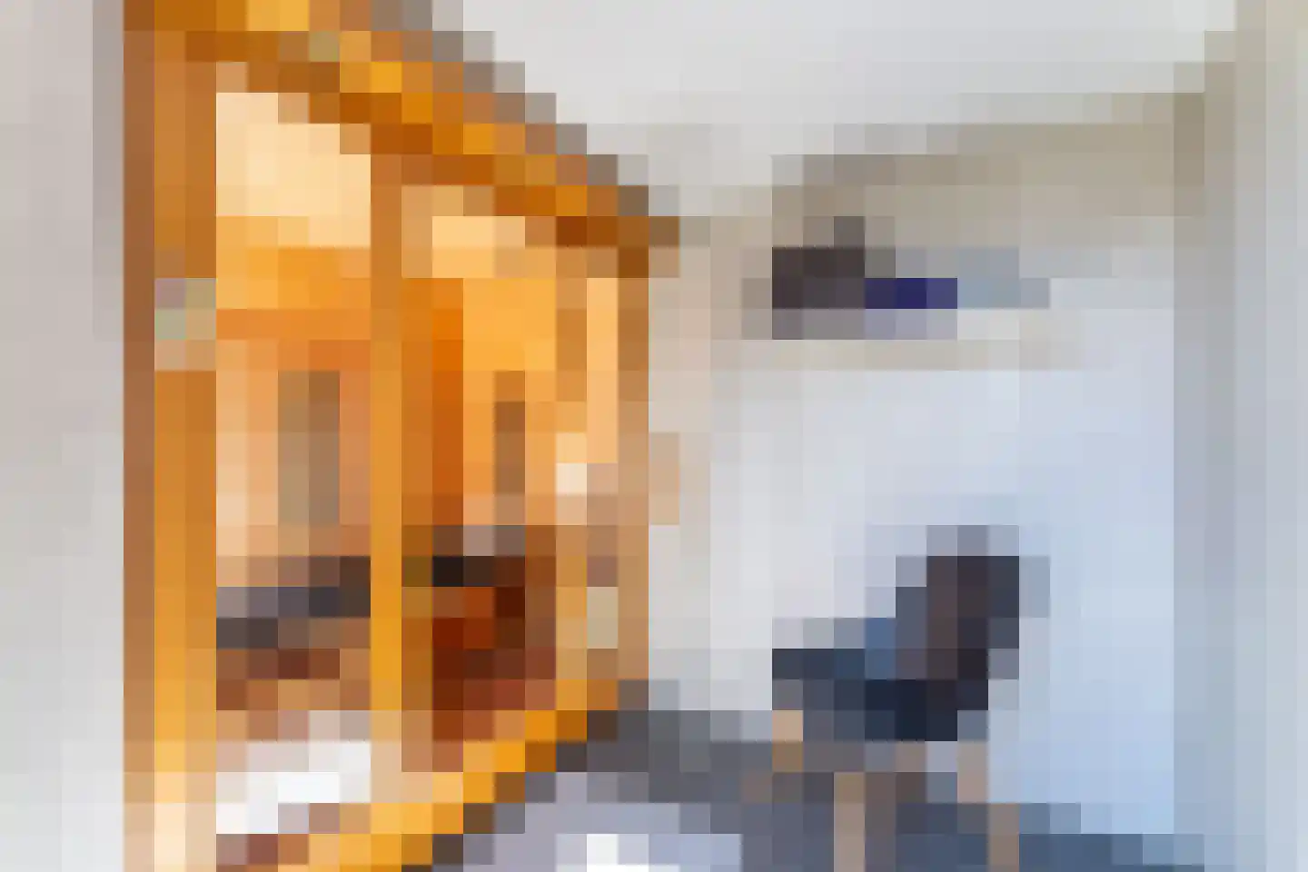 Nieuwesluisweg 1 232 Breskens thumbnail 28