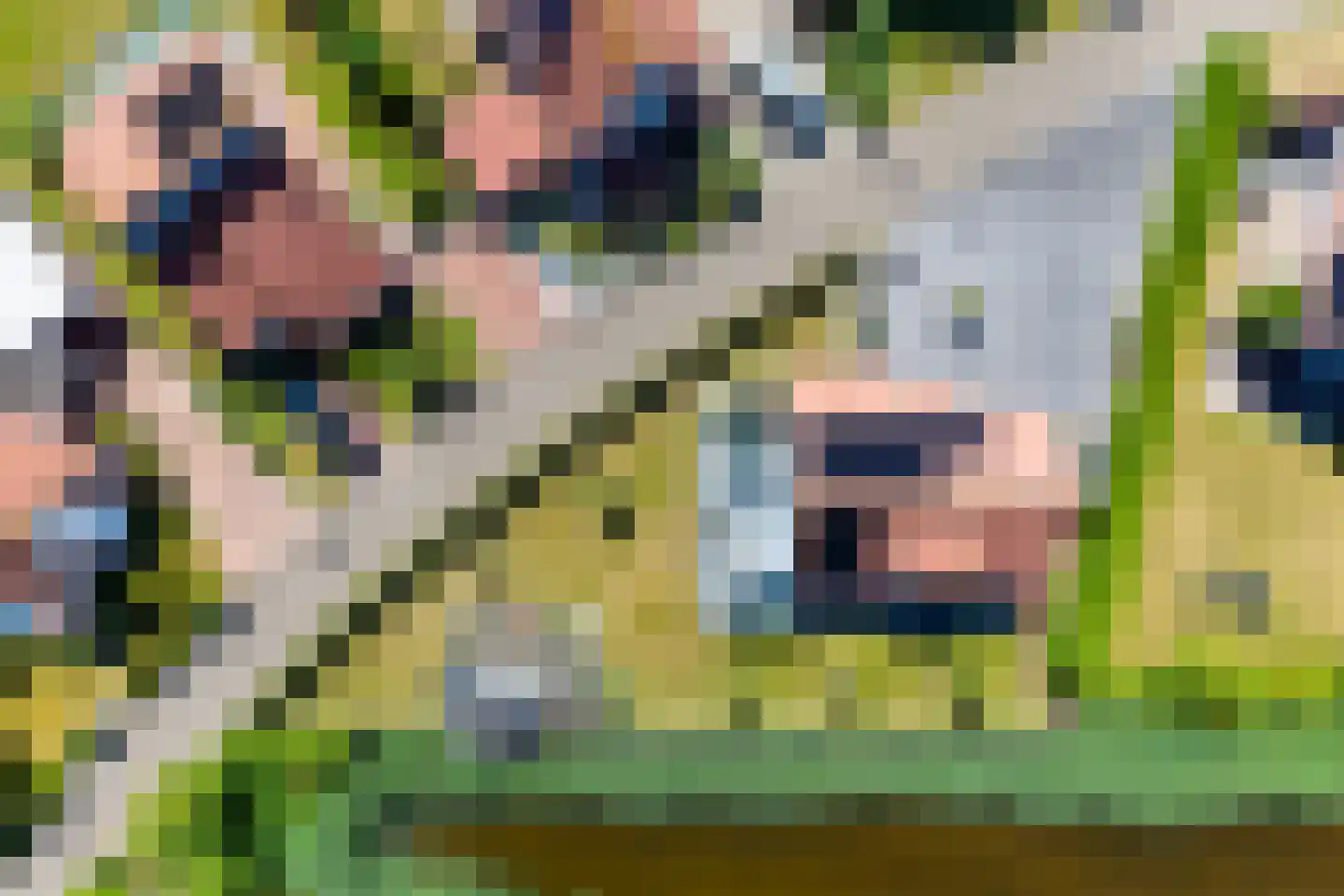 Nieuwesluisweg 1 232 Breskens thumbnail 32
