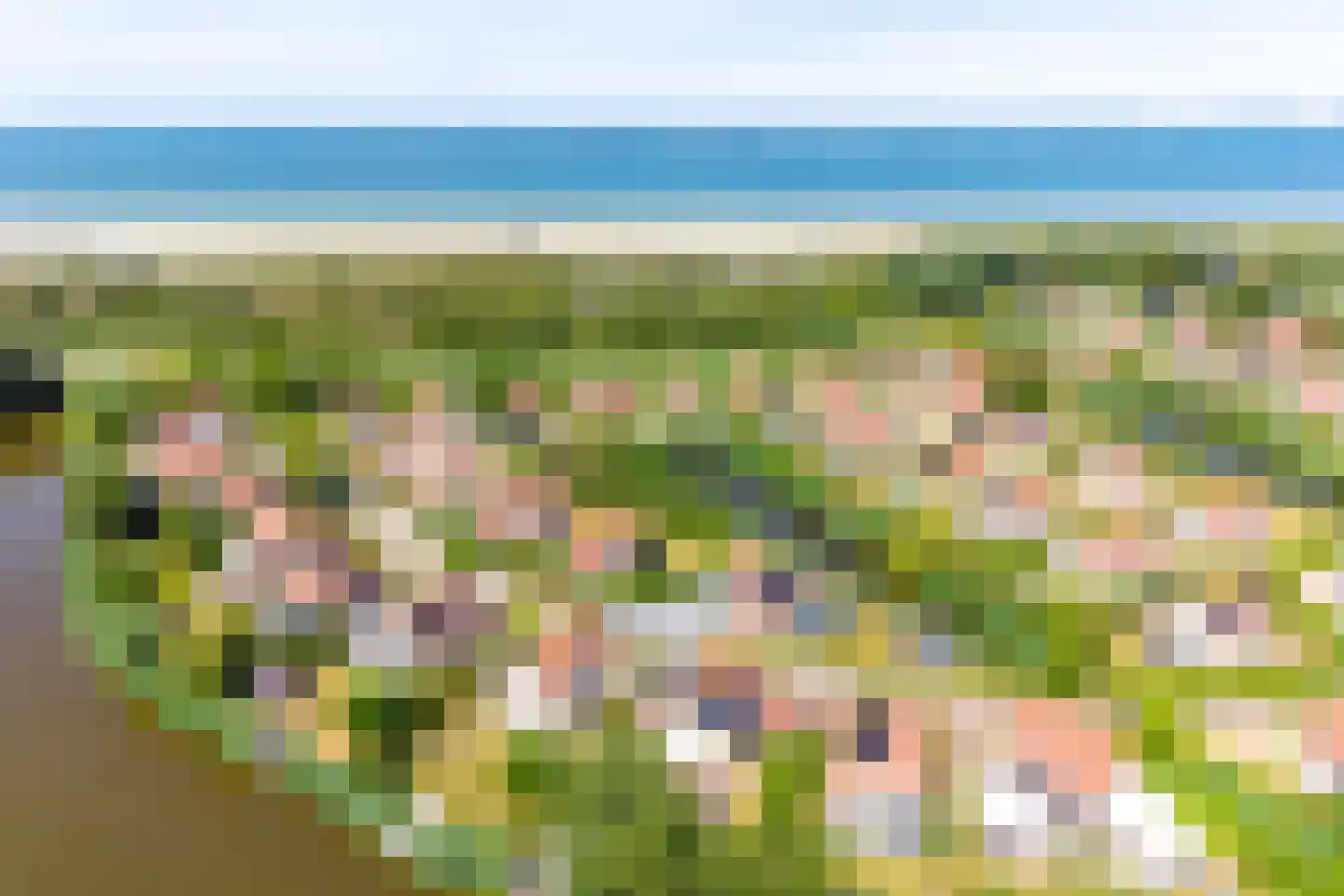 Nieuwesluisweg 1 232 Breskens thumbnail 33