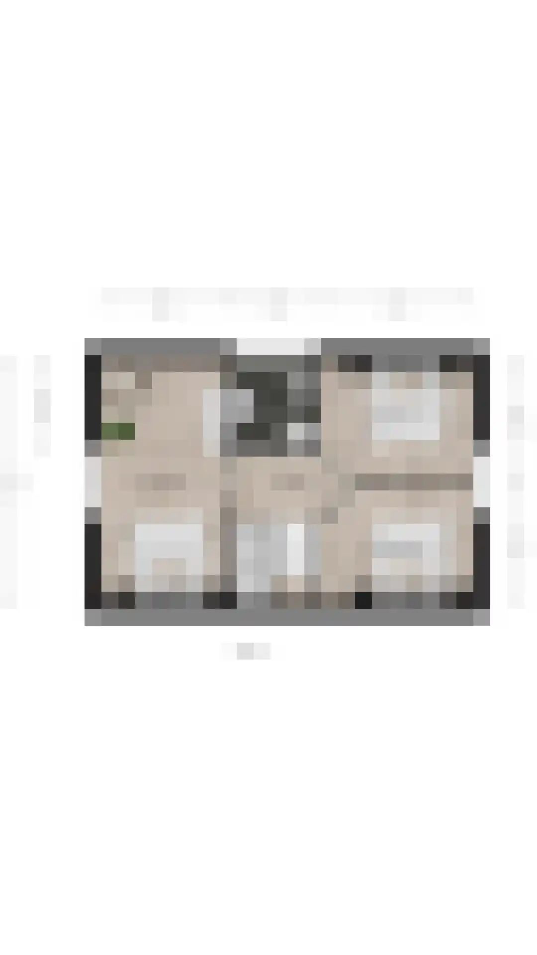 Nieuwesluisweg 1 232 Breskens thumbnail 36