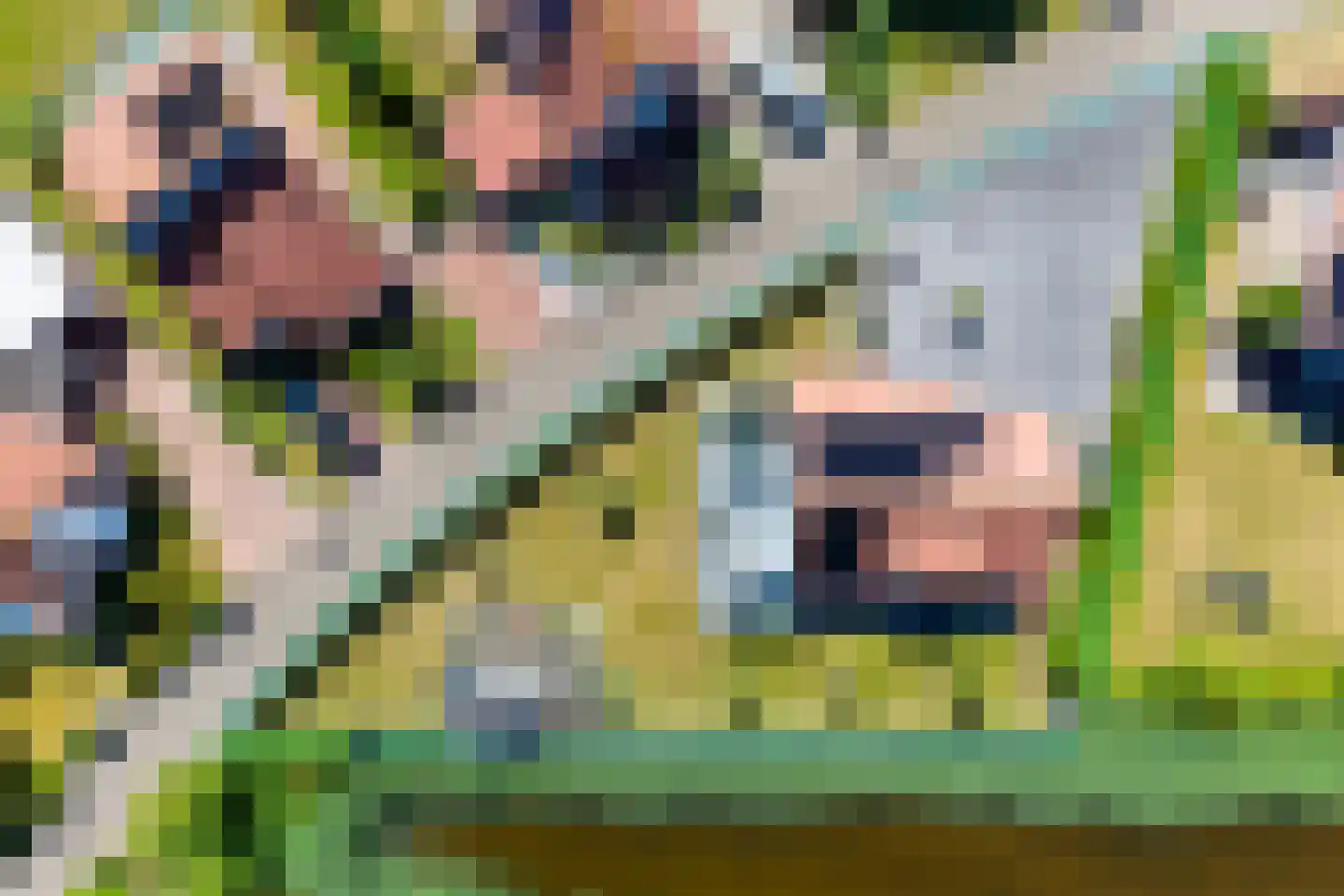 Nieuwesluisweg 1 232 Breskens thumbnail 9