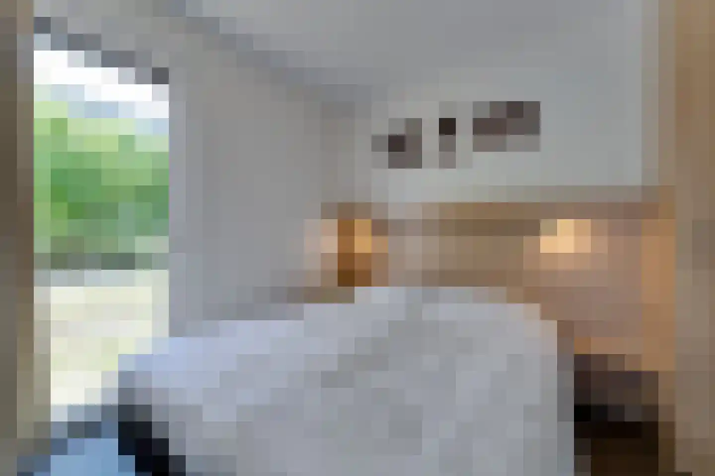 Nieuwesluisweg 1 A 1016 Breskens thumbnail 11