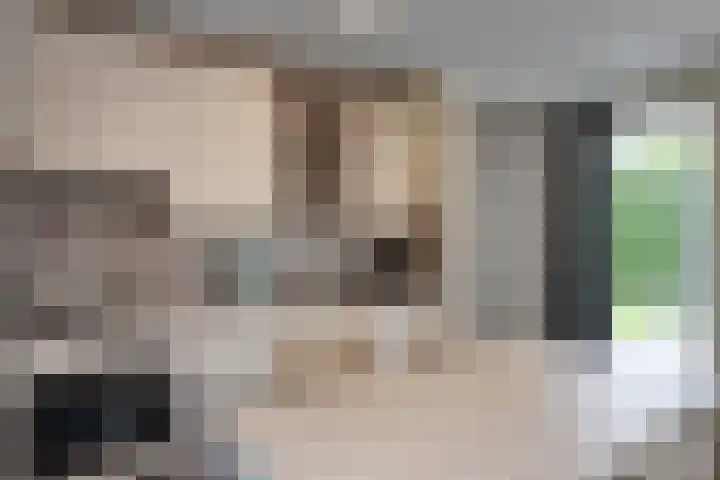 Nieuwesluisweg 1 A 1033 Breskens thumbnail 10