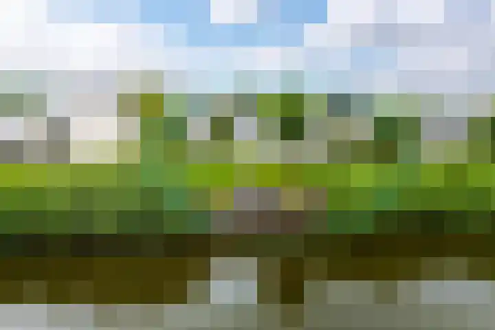 Nieuwesluisweg 1 A 1033 Breskens thumbnail 19