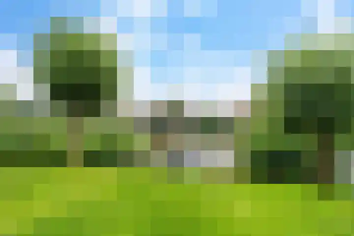 Nieuwesluisweg 1 A 1033 Breskens thumbnail 7