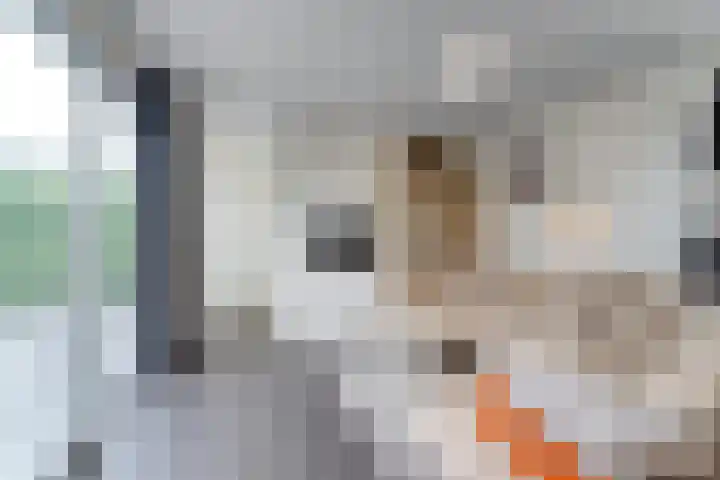 Nieuwesluisweg 1 A 1033 Breskens thumbnail 8