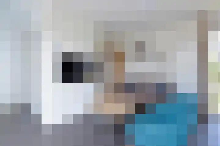 Nieuwesluisweg 1 A 1039 Breskens thumbnail 12