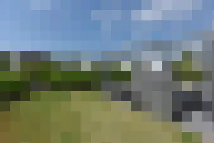 Nieuwesluisweg 1 A 1039 Breskens thumbnail 23