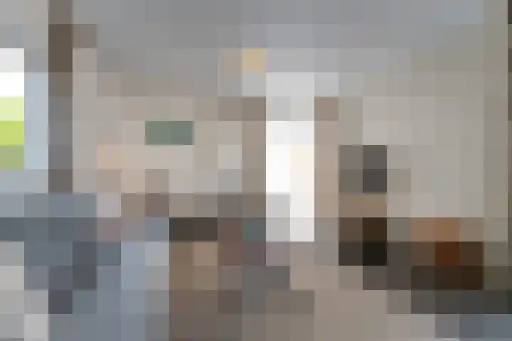 Nieuwesluisweg 1 A 1055 Breskens thumbnail 9