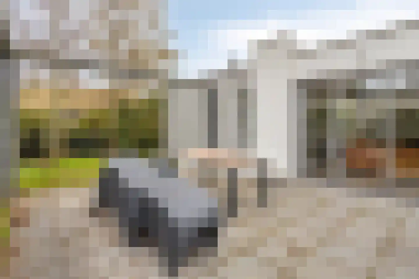 Nieuwesluisweg 1 A 1504 Breskens thumbnail 27