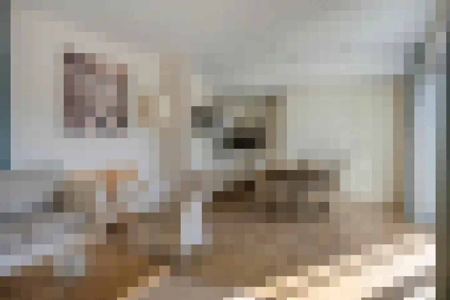 Nieuwesluisweg 1 A 1511 Breskens thumbnail 8