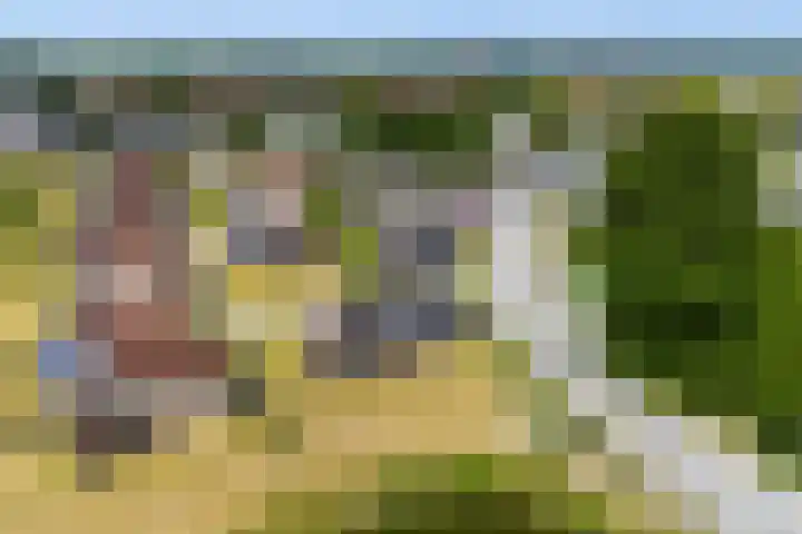 Nieuwesluisweg 1 A 706 Breskens thumbnail 31