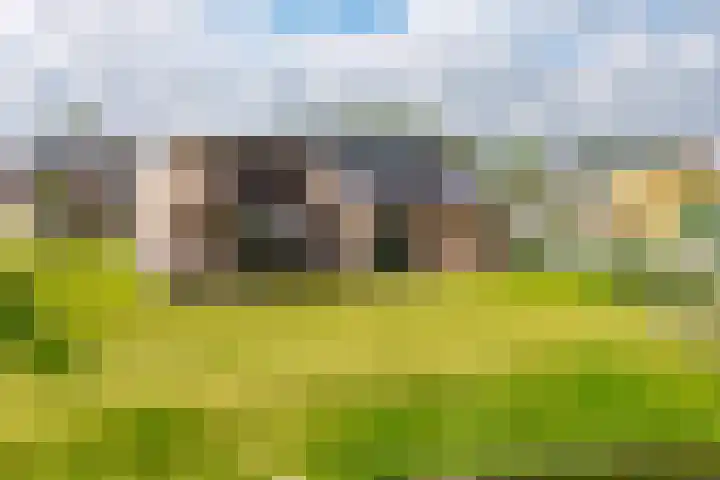 Nieuwesluisweg 1 A 706 Breskens thumbnail 33