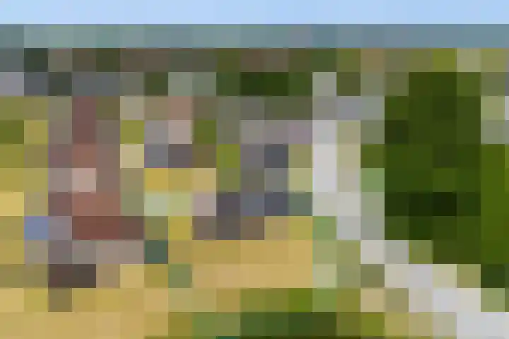 Nieuwesluisweg 1 A 706 Breskens thumbnail 7