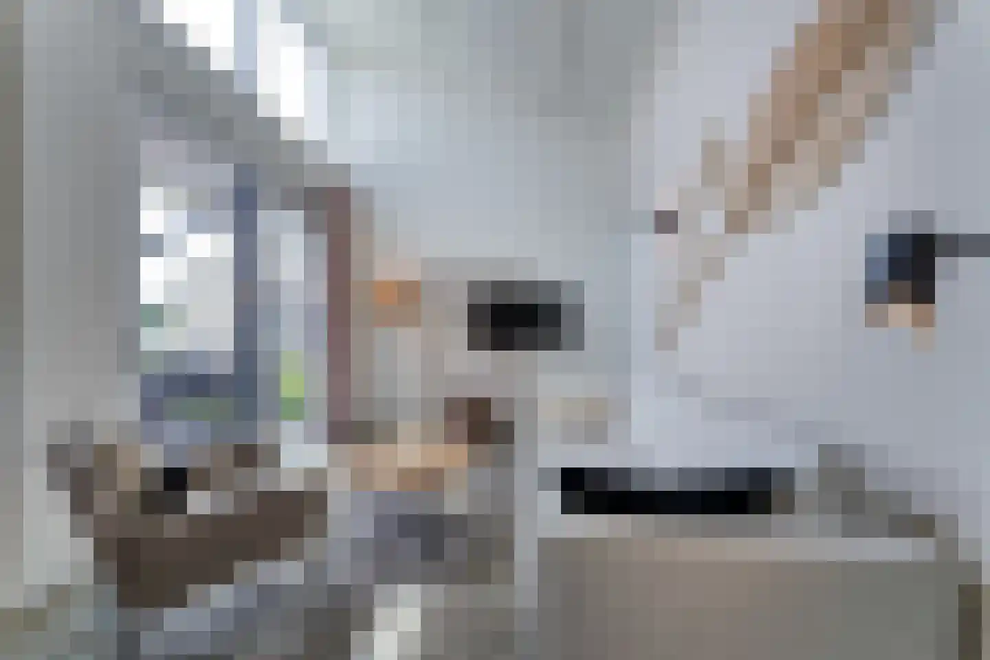 Nieuwesluisweg 1 A 719 Breskens thumbnail 8